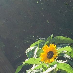 Meet your Posher, Ana